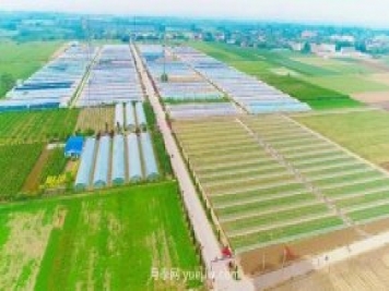 南阳市2个现代农业产业园获得河南首批省级认定